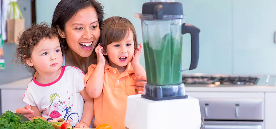 Juicer and Mixer Blender Repair in Leominster